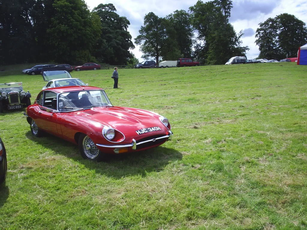 S4010249.webp