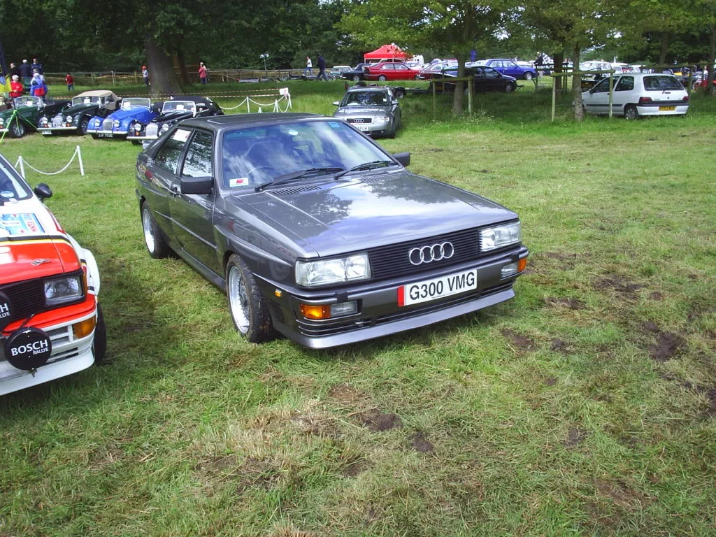 S4010253.webp