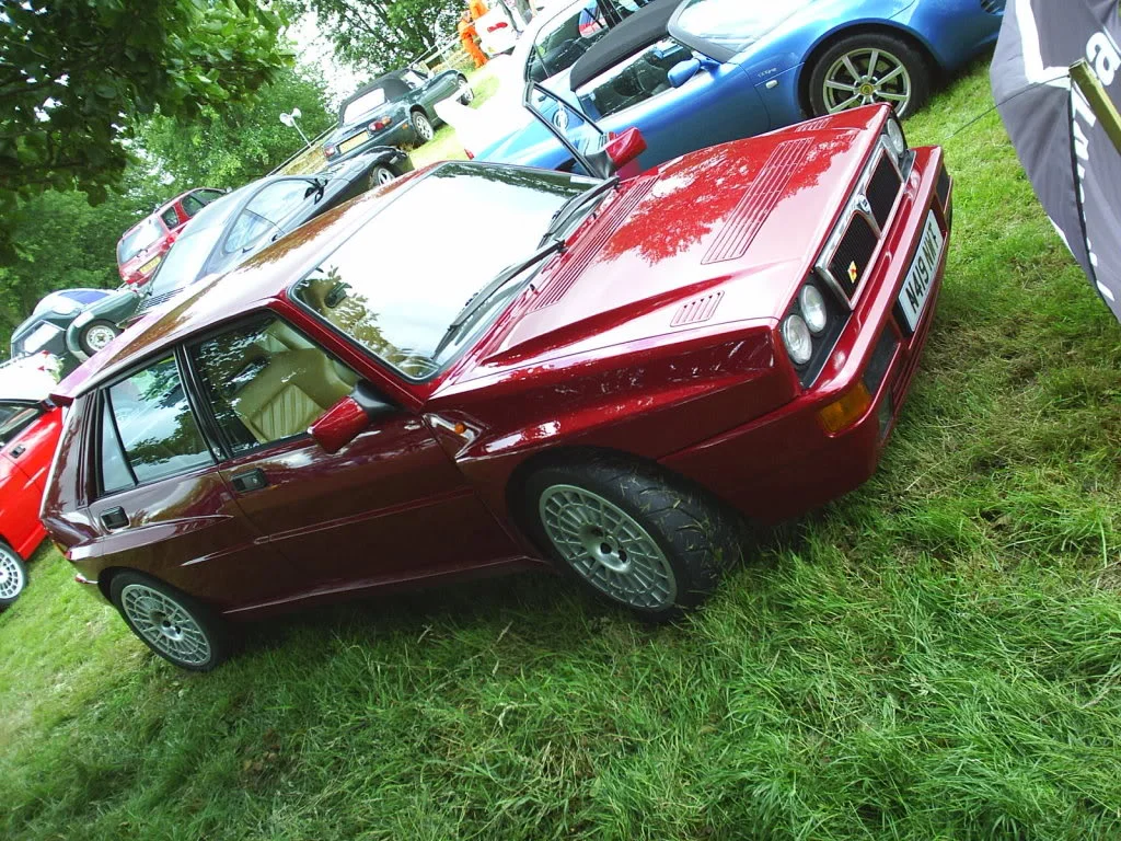 S4010263.webp
