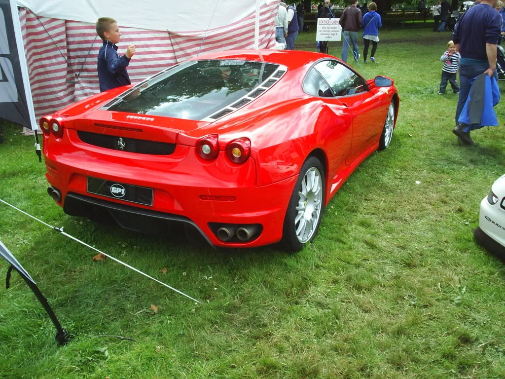 S4010321.webp