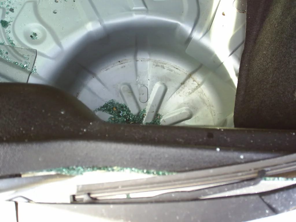 S4010422.webp