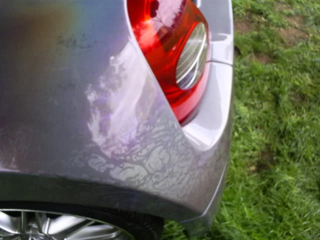 S5030266.webp