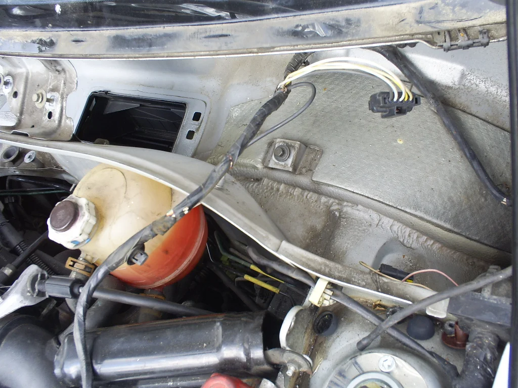 S5031054.webp