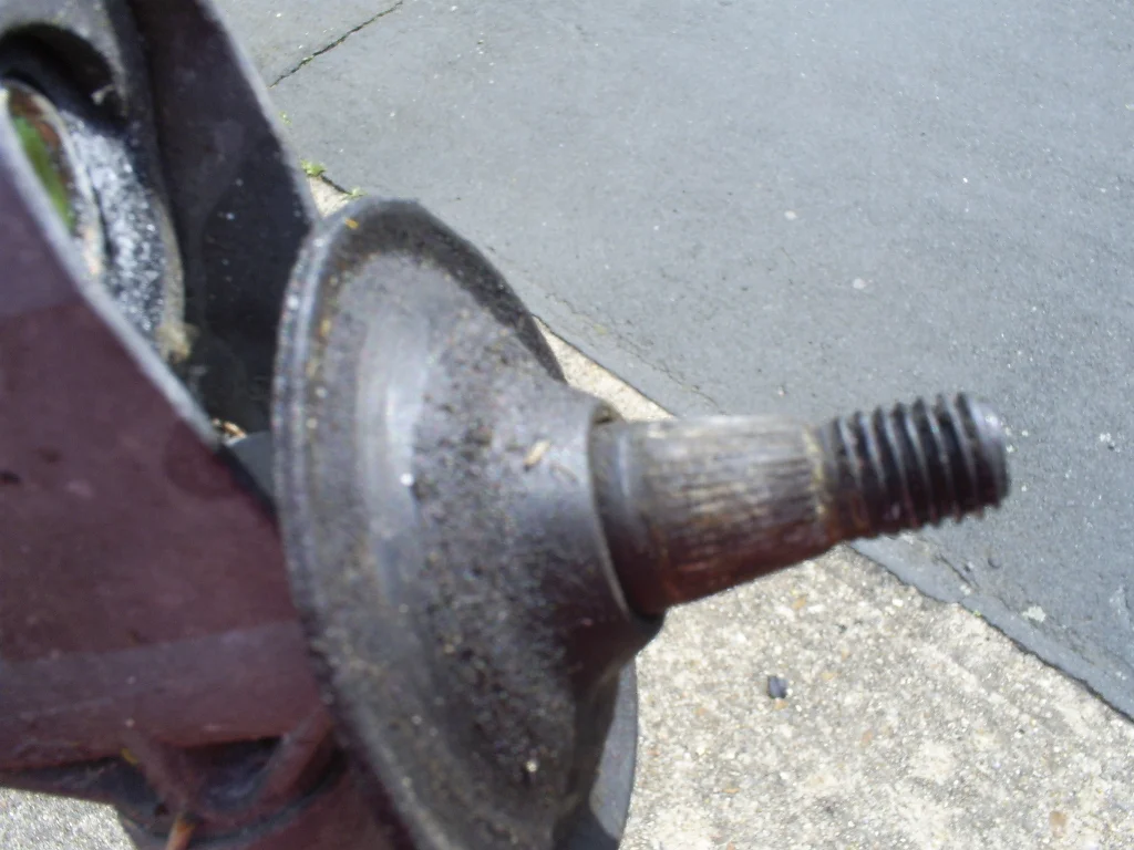 S5031057.webp