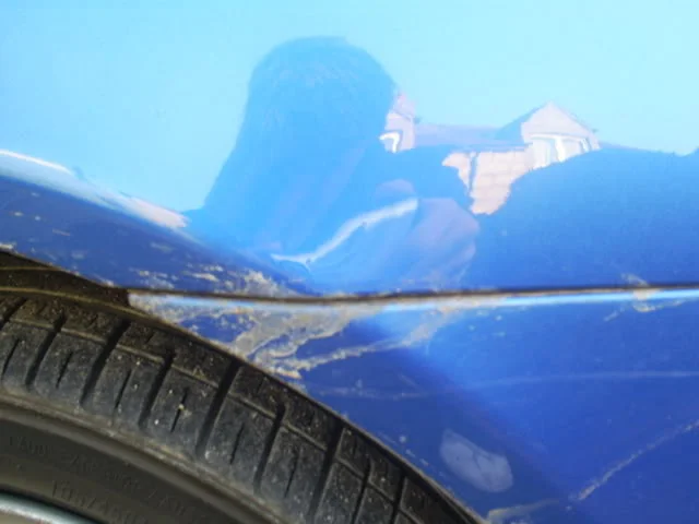 S5031535.webp