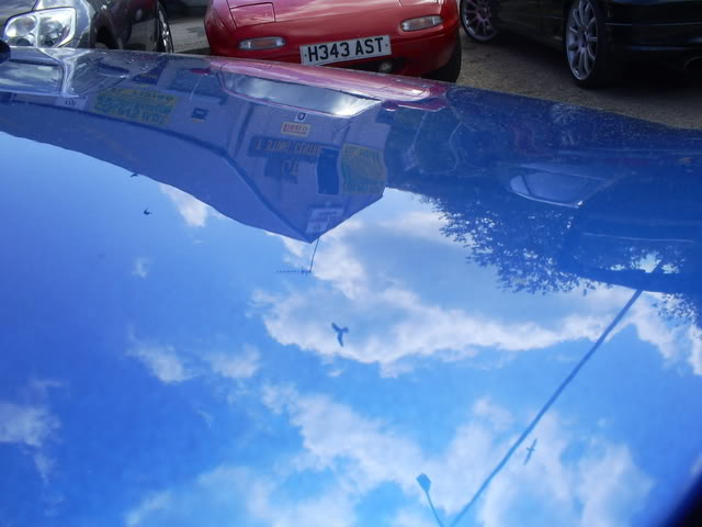 S5032279.jpg S5032279.jpg