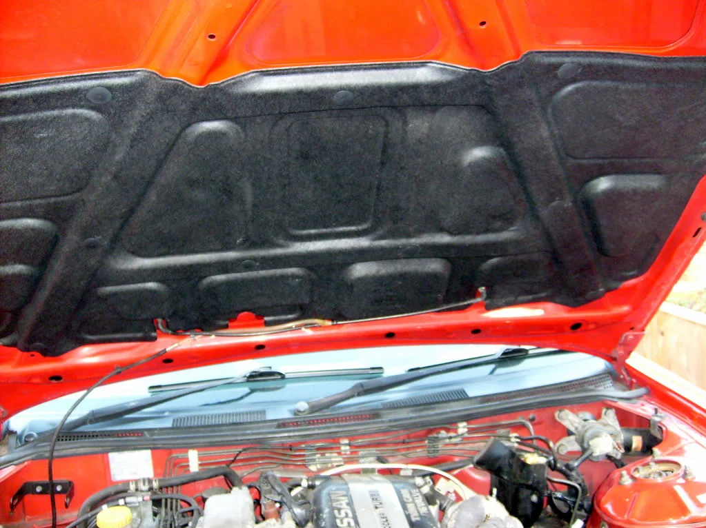 S6300753.webp
