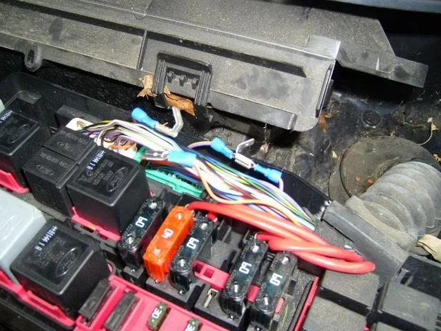 S7000653.webp