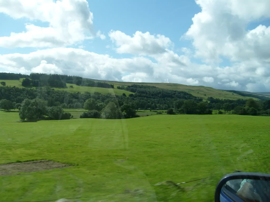 S7300393.webp