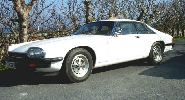 saint-xjs-774395.jpg