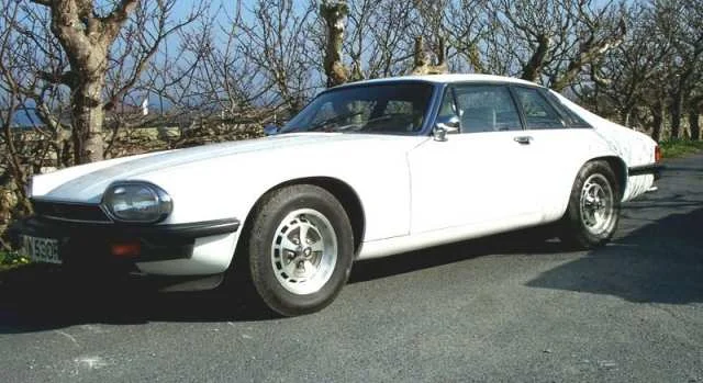 saint-xjs-774395.webp