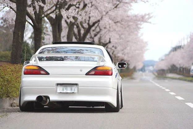sakuraken.webp