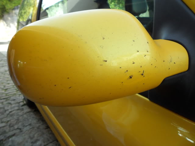 SAM_0540.jpg SAM_0540.jpg