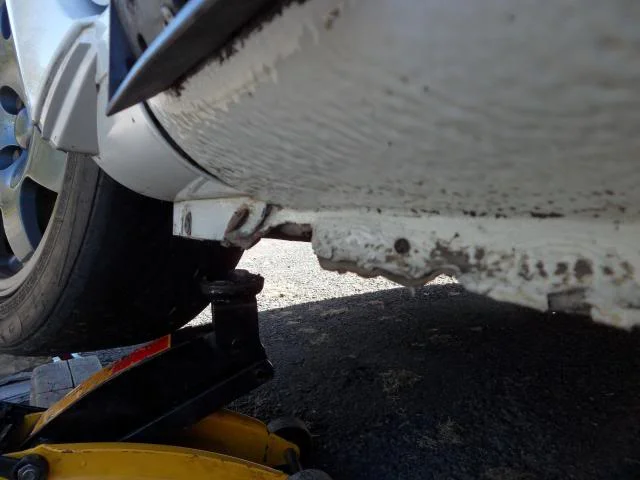 SAM_0548_zps1957daf2.webp