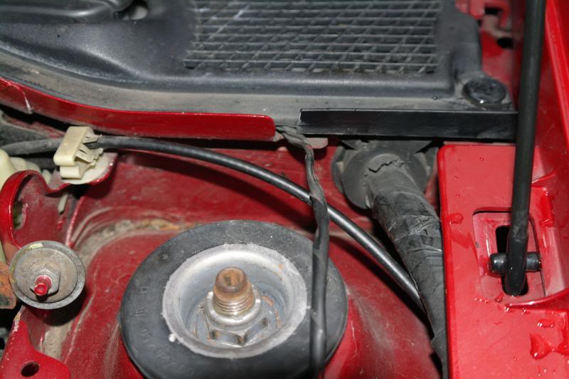 SAM_4593.jpg SAM_4593.jpg