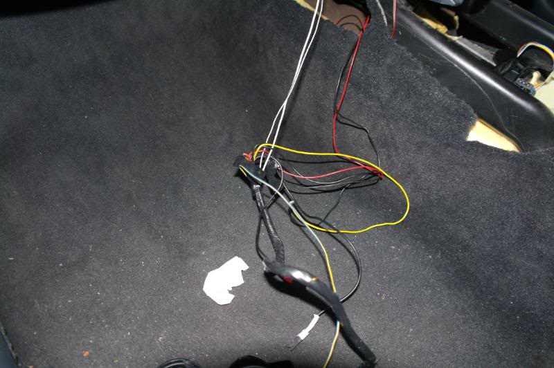 SAM_4595.jpg SAM_4595.jpg