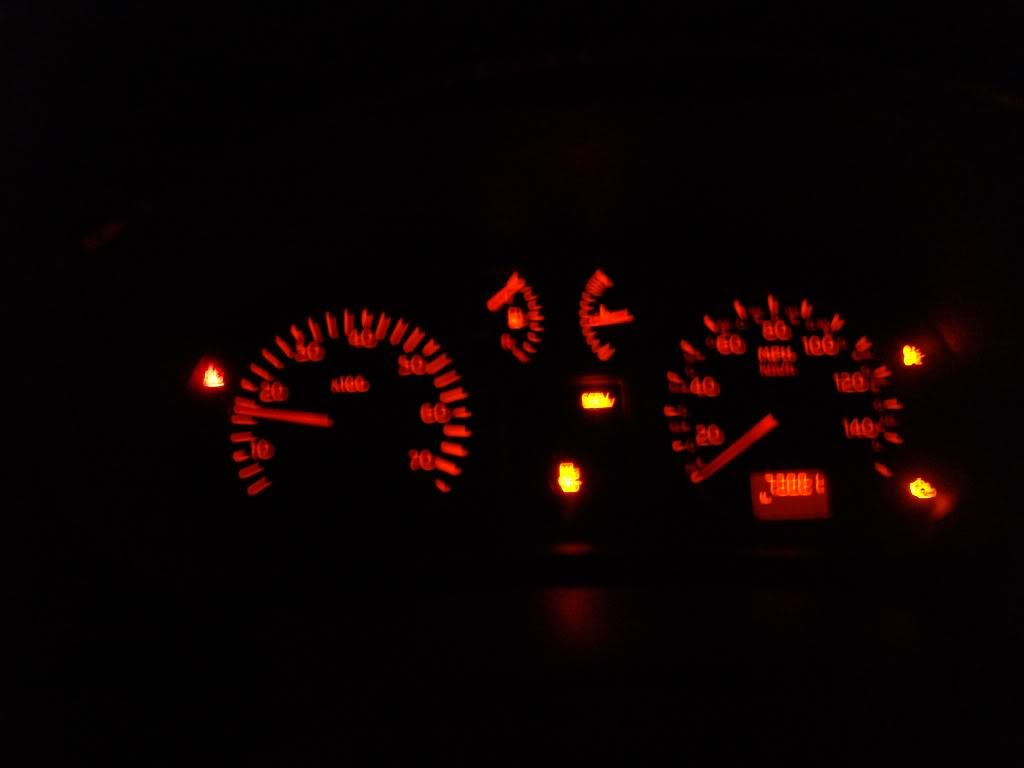 SANY0631.jpg
