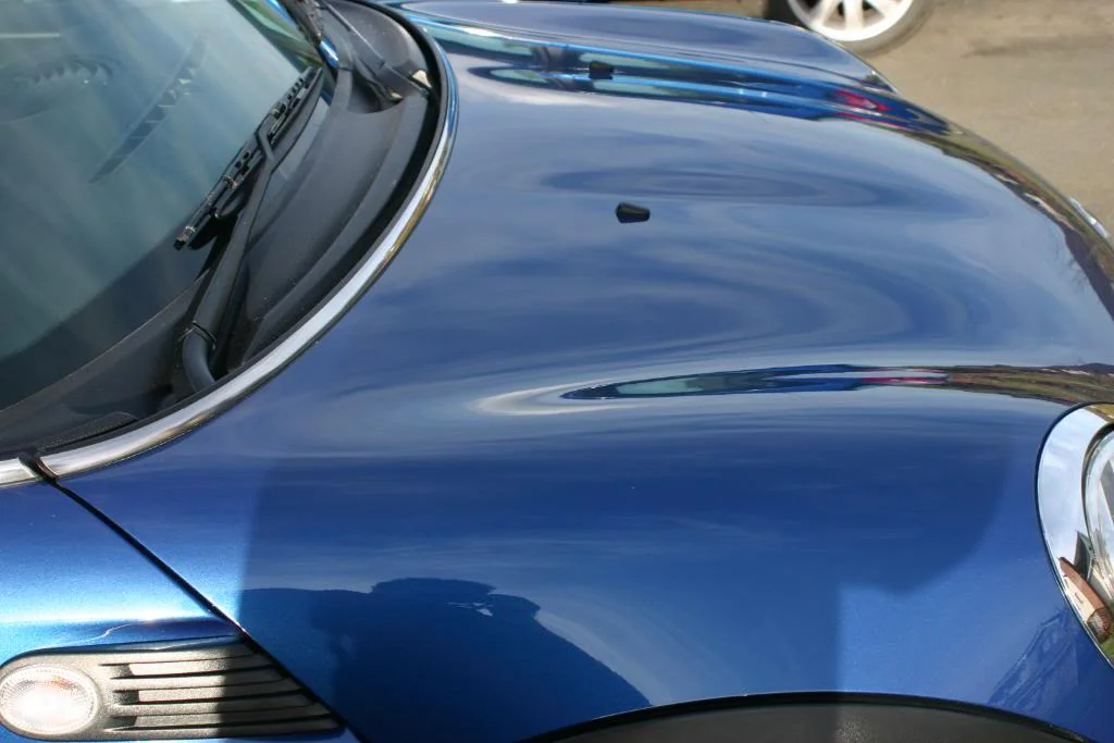 SarahsMiniDetail052.webp