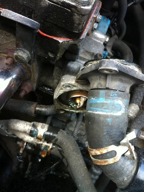 saxo5.webp