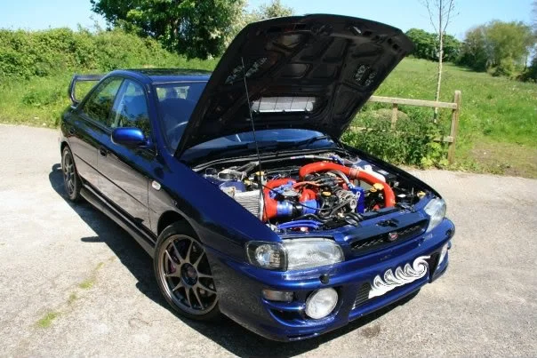 scoob.webp
