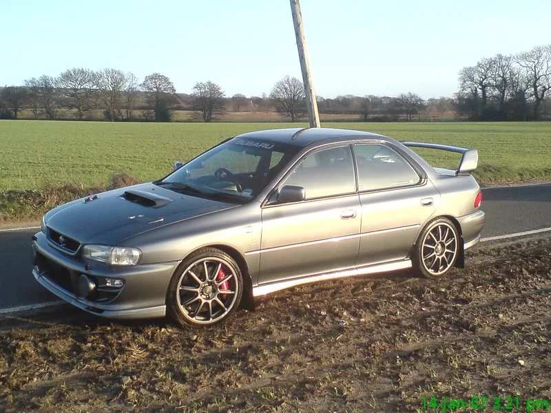 scoob.webp