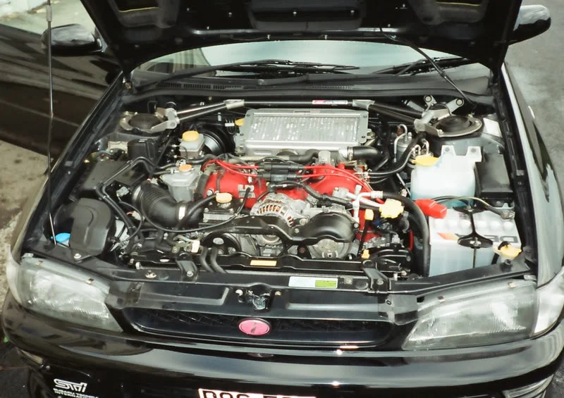 scooby4.webp