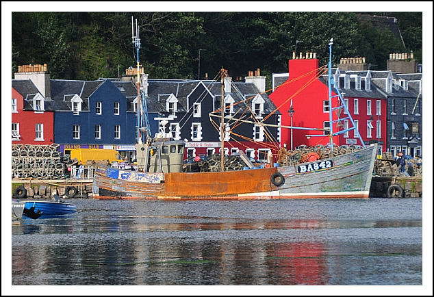 scot09b.jpg