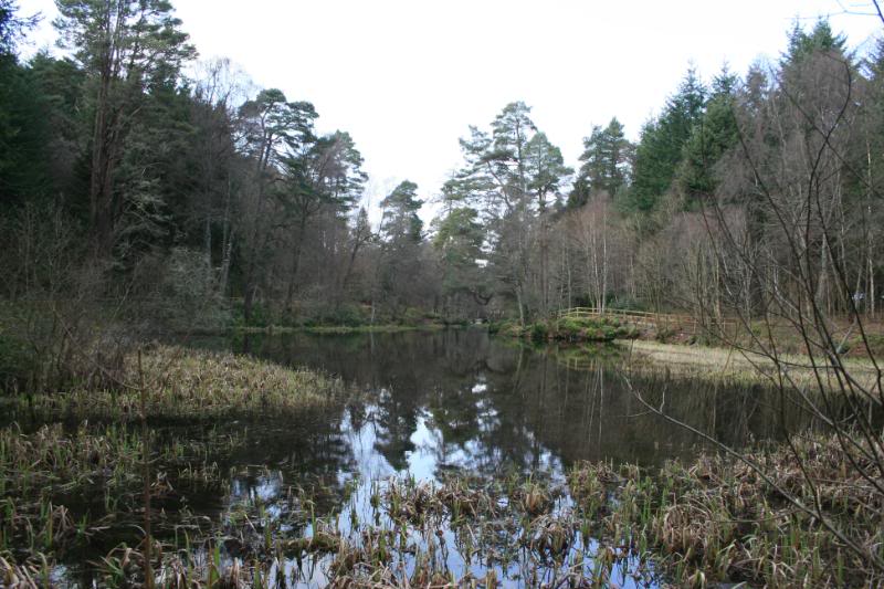 Scotland09041.jpg