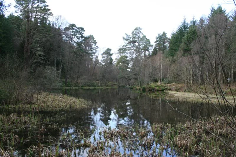 Scotland09041.webp