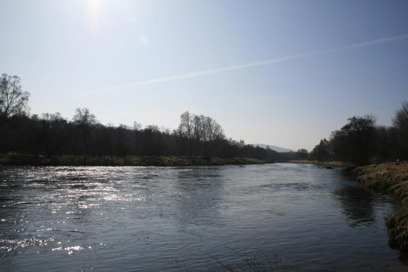 Scotland09058.jpg
