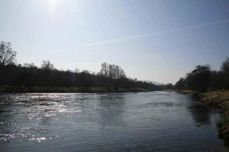 Scotland09058.webp