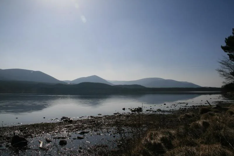 Scotland09082.webp