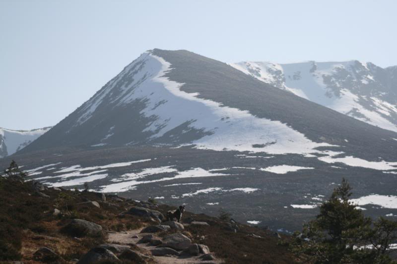 Scotland09087.jpg