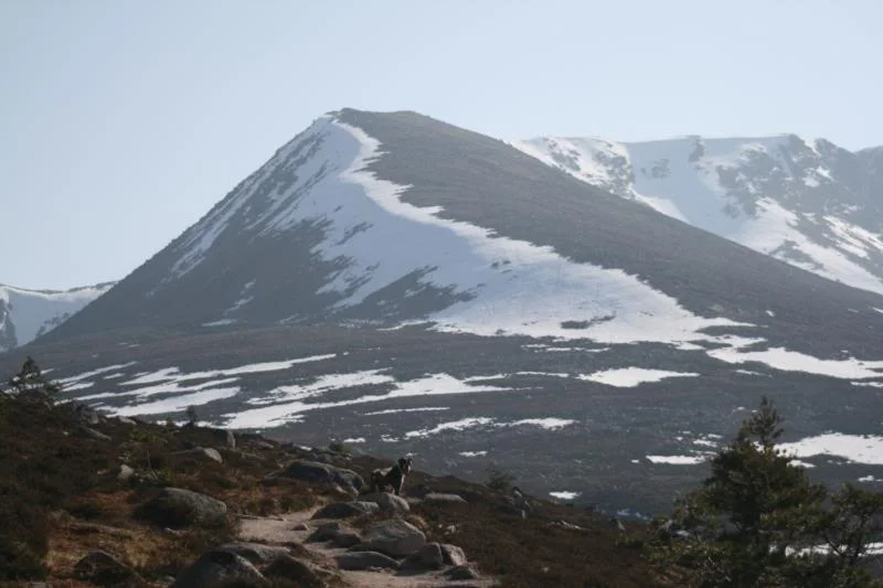 Scotland09087.webp