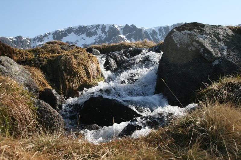 Scotland09111.jpg