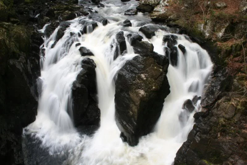 Scotland09142.webp