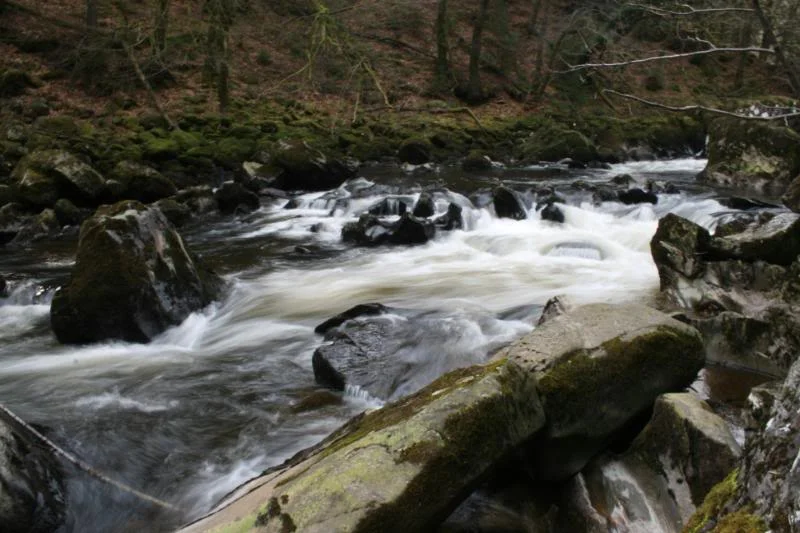 Scotland09146.webp