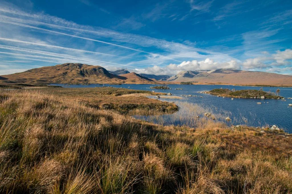 Scotland20142of86-1.webp