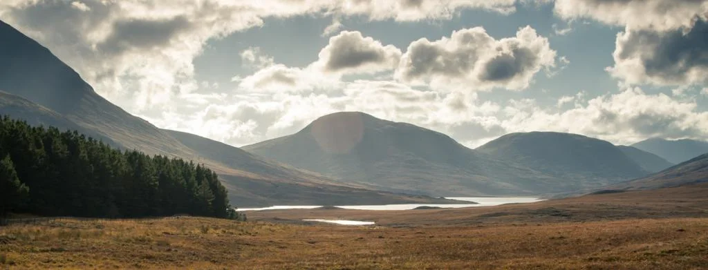 Scotland201454of86.webp