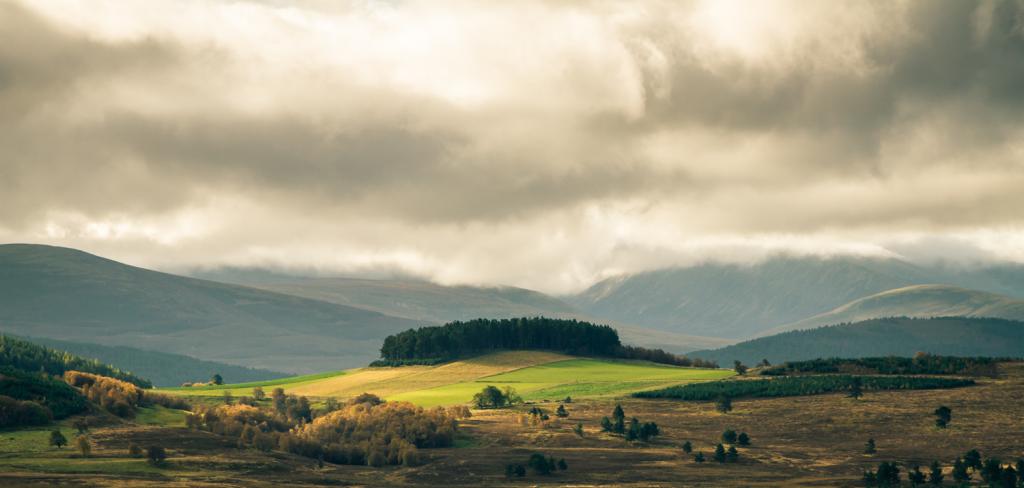 Scotland201476of86.jpg
