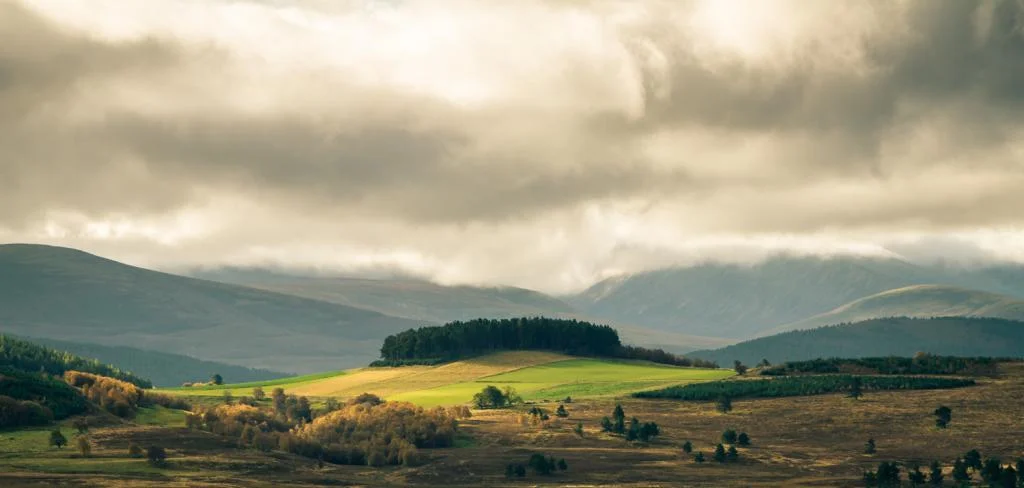 Scotland201476of86.webp