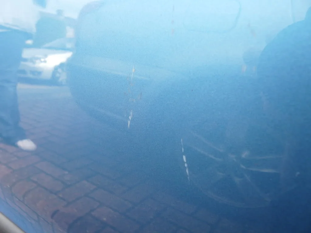 scratches2.webp