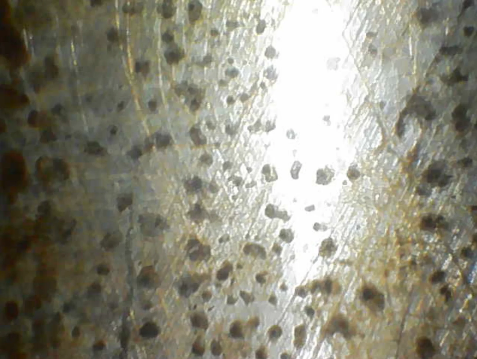 Screenshot 2025-09-15 103706.webp