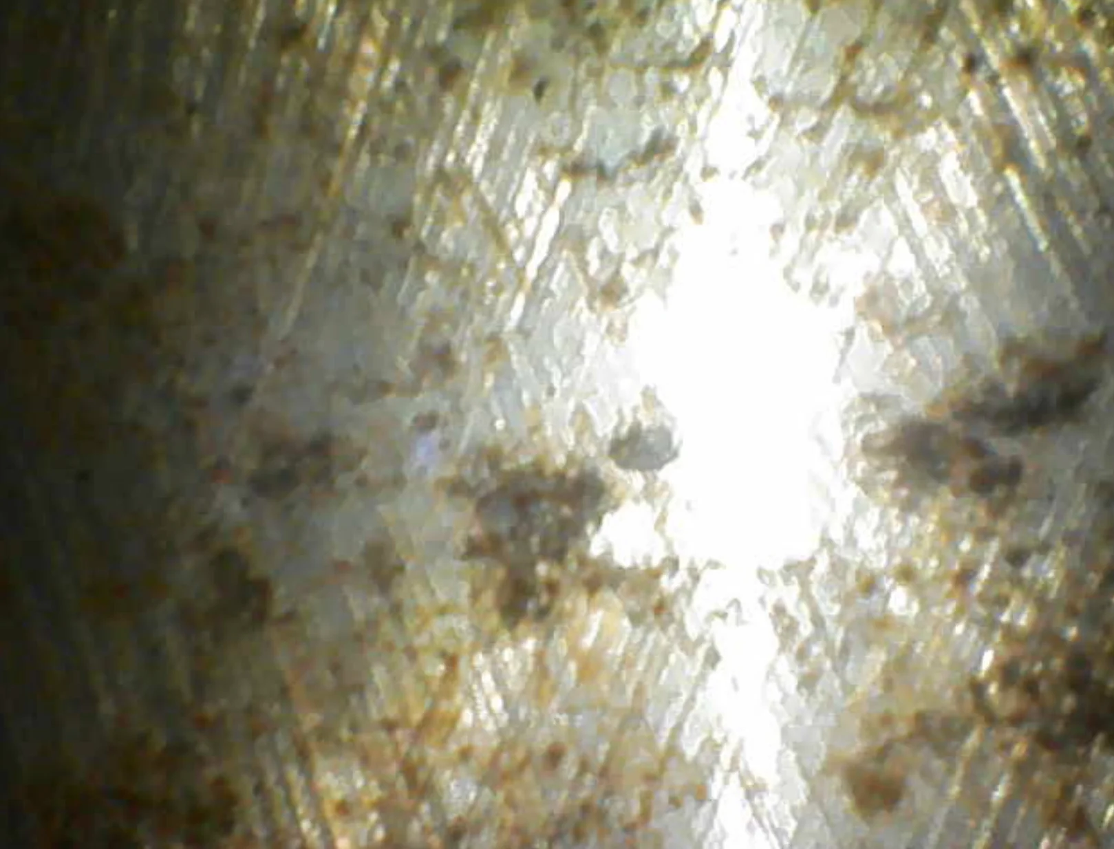 Screenshot 2025-09-15 103810.webp