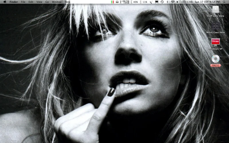 Screenshot2010-10-17at215406.webp
