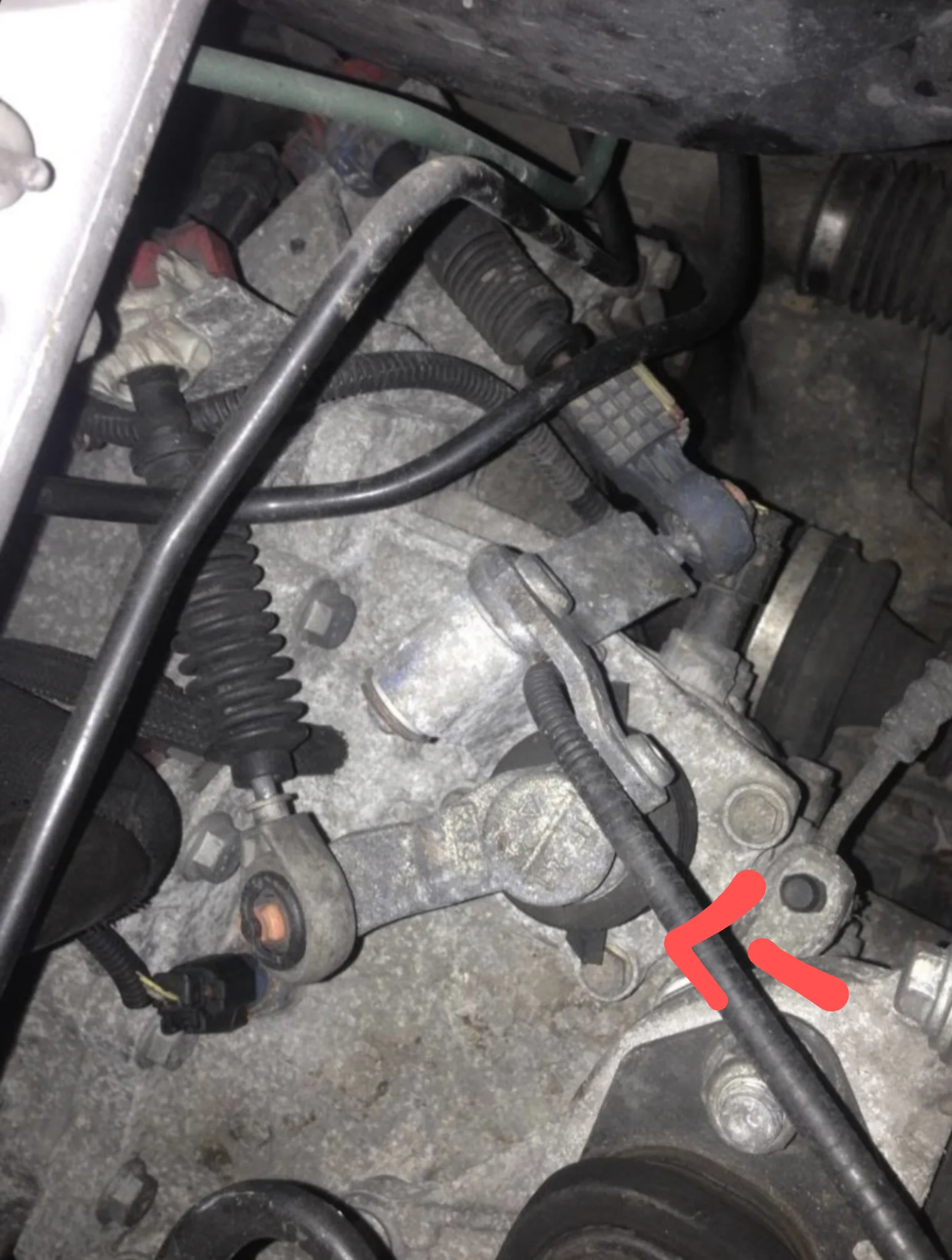 Screenshot_20210120-180504.webp