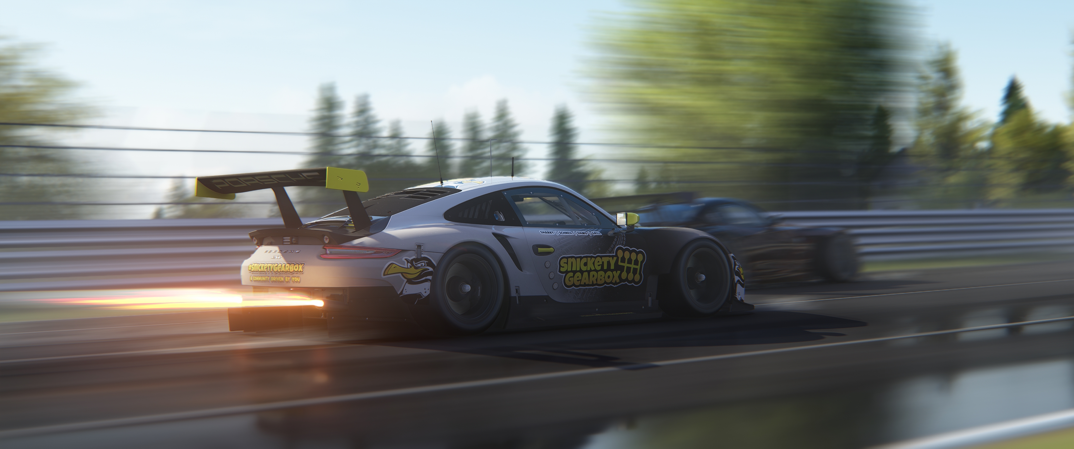 Screenshot_ks_porsche_911_rsr_2017_ks_nordschleife_6-9-121-23-29-27.jpg