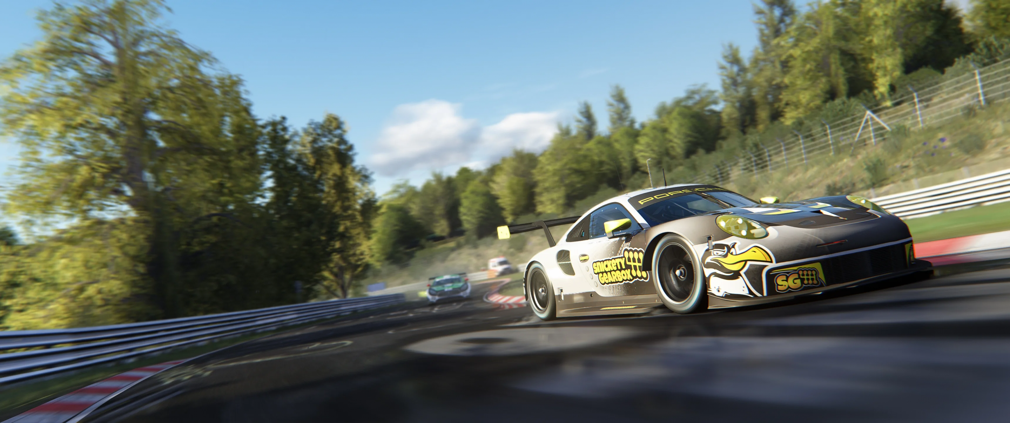 Screenshot_ks_porsche_911_rsr_2017_ks_nordschleife_6-9-121-23-5-8.webp