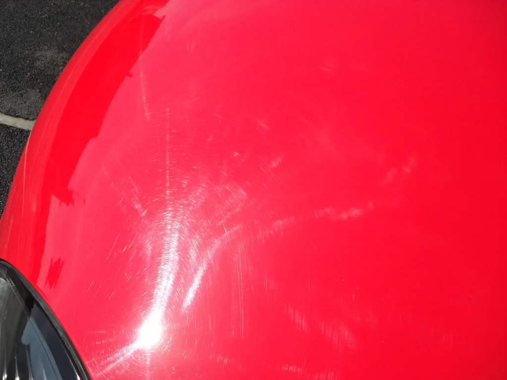 SDC10007.webp