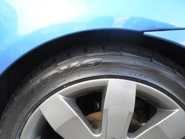 SDC10088.webp